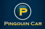 PINGOUIN CARS Terre Rouge