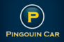 PINGOUIN CAR коли под наем в Мавриций